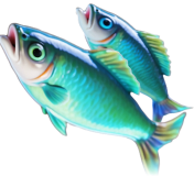 Geh fischen